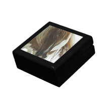 Mustang Wild Horse  Gift Box