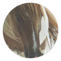 Mustang Wild Horse Stickers