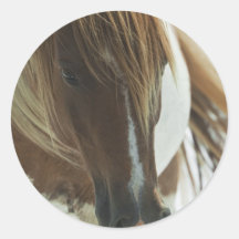 Mustang Wild Horse Stickers