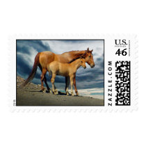 MustangMare stamps