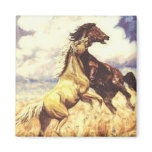 Mustangs Fighting Refrigerator Magnet