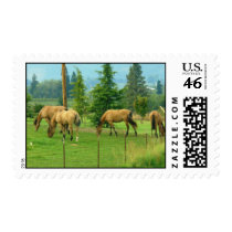 Mustangs Postage postage by shawke123 Mustangs Postage postage