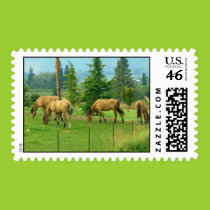 Mustangs Postage postage