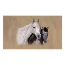 Mustangs Sally and Wilson Business Card