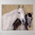 Mustangs Sally and Wilson Horse Print
