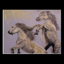 "Mustangs" Vertical Postcard postcards