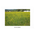 postcard - 