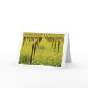 Mustard Field cards by nanestewart Mustard Field cards