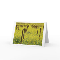 Mustard Field cards