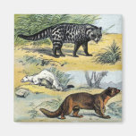 Mustelidaes Magnet