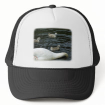 Mute Swan & Cygnets 9R054D-118A hats by TraffordPhotos Mute Swan & Cygnets 9R054D-118A hats
