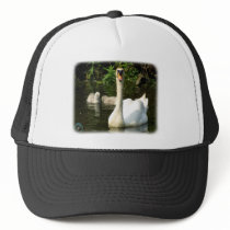 Mute Swan & Cygnets 9R054D-143 hats by TraffordPhotos Mute Swan & Cygnets 9R054D-143 hats