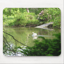 Mute Swan (Cygnus Olor) by Footbridge mousepads