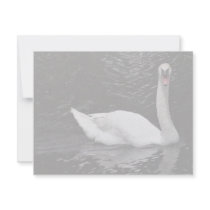 Mute Swan invitations by animalpark Mute Swan invitations