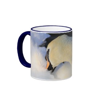 Mute Swan mug
