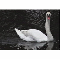 Mute Swan photo sculptures by animalpark Mute Swan photo sculptures