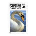 Mute Swan postage by elyssa444 Mute Swan postage