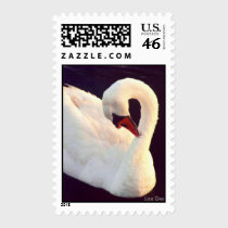 Mute Swan Postage stamps