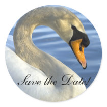 Mute Swan stickers