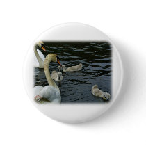 Mute Swans & Cygnets 9R054D-121 buttons by TraffordPhotos Mute Swans & Cygnets 9R054D-121 buttons