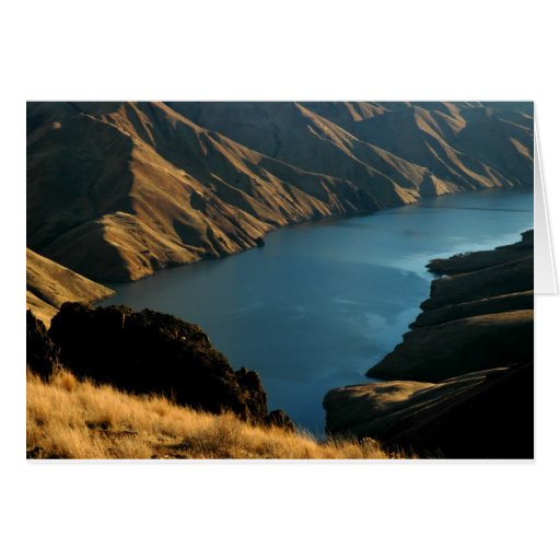 MUTED SNAKE: December River Greeting Cards