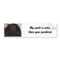 Mutt Bumper Sticker bumper stickers by mochiman Mutt Bumper Sticker bumper stickers