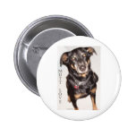 Mutt Love Buttons