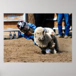 Mutton Buster Tries His Mettle posters