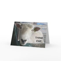MUTTON MORE TO SAY - THANK EWE CARD