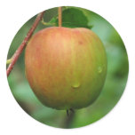 Mutzu Apple Stickers
