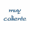 Muy Caliente Embroidered Shirt w/design on nape embroidered shirts