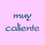Muy Caliente Embroidered Shirt w/design on nape embroidered shirts