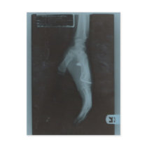 MY22BULLET postcards by ediaza MY22BULLET postcards