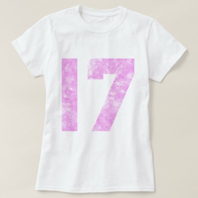 My 17th Birthday Gifts Tee Shirt
