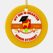 My ACD Is Smarter Christmas Tree Ornaments