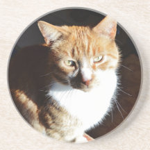 My Affectionate Look Nutmeg. Drink Coasters