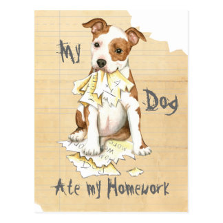 My dog ate my homework song image