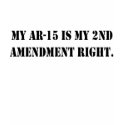 My AR-15 is my 2nd Amendment Right t-shirts
