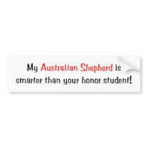 My Australian Shepherd is smarter.. Bumper Sticker bumper stickers
