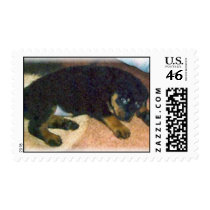 MY BABY TARA postage
