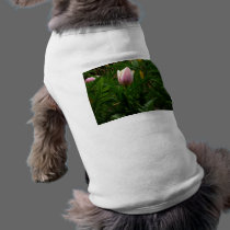 My Baby Tulip pet clothing by Moondial My Baby Tulip pet clothing