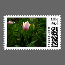 My Baby Tulip postage by Moondial My Baby Tulip postage