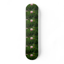 My Baby Tulip skateboards
