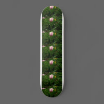 My Baby Tulip skateboards