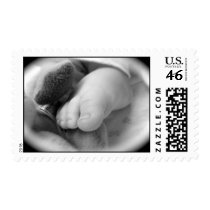 My baby's foot stamp