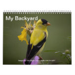 My Backyard Calendar of Wild Birds