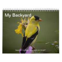 My Backyard Calendar of Wild Birds