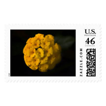 my ball and chain postage