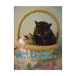 My basket Postcard!