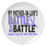 My Battle Too Mother-In-Law Esophageal Cancer Party Plates